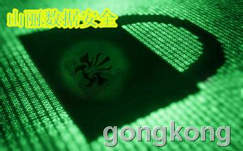 山麗網(wǎng)安 筑牢涉密信息安全防線，加密與防護(hù)軟件雙管齊下